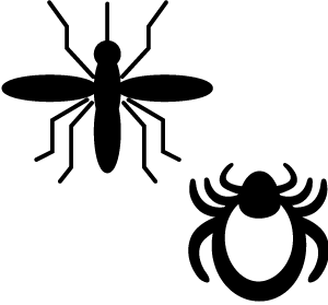 Vector-borne Diseases icon