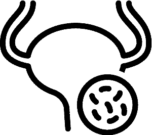 Infectious Diseases icon