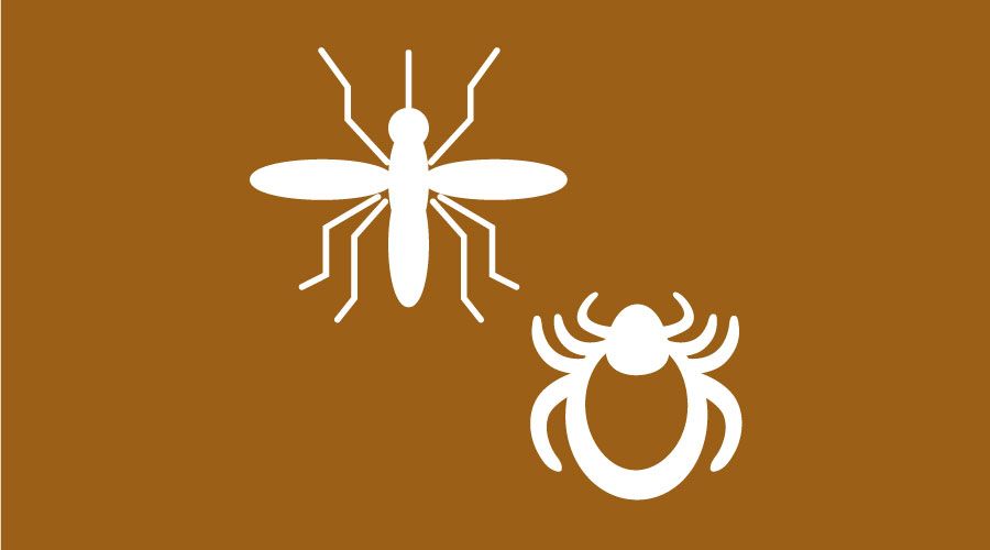 Vector-borne Diseases icon
