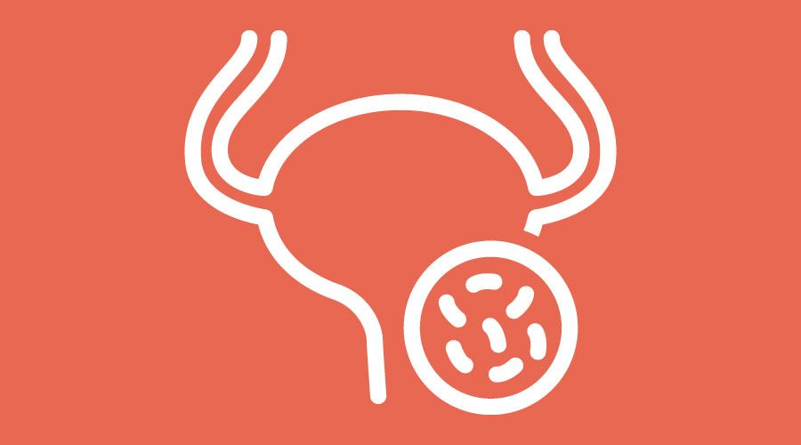 Infectious Diseases icon